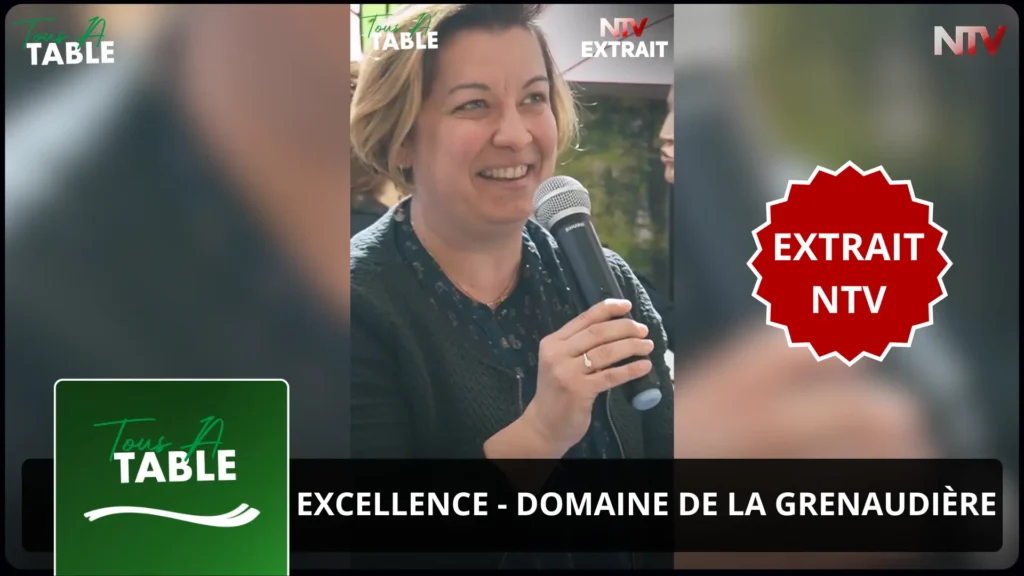ntv-media-nantes-paris-emission-extrait-ntv-ntv.webp