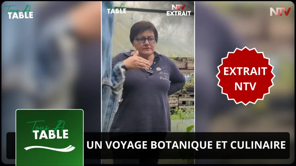 ntv-media-nantes-paris-emission-extrait-ntv-ntv.webp