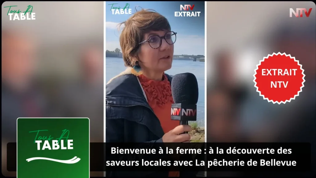 ntv-media-nantes-paris-emission-extrait-ntv-ntv.webp
