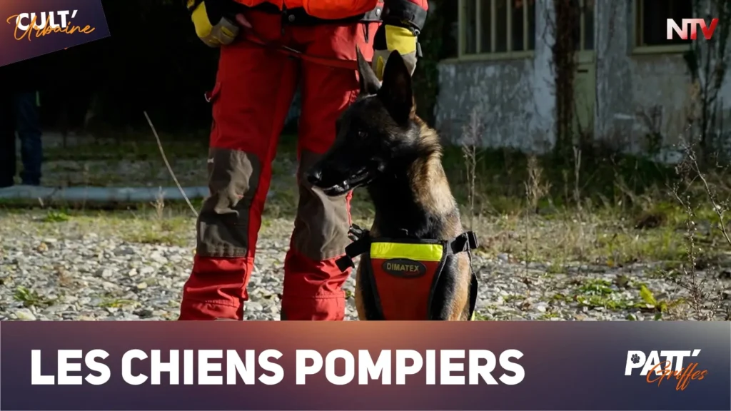 ntv-media-nantes-paris-emission-patt-griffes-ntv.webp