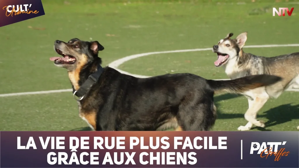 ntv-media-nantes-paris-emission-patt-griffes-ntv.webp