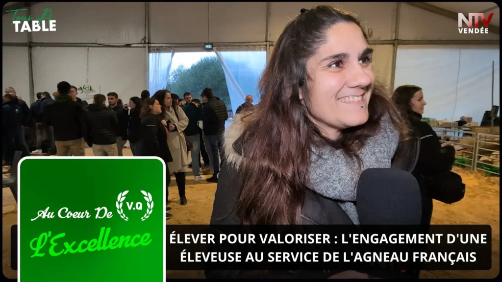 ntv-media-nantes-paris-emission-ntv-vendée.webp