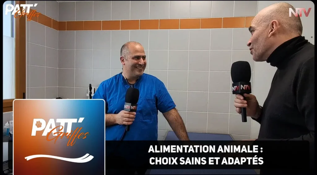 ntv-media-nantes-paris-emission-patt-griffes-ntv.webp