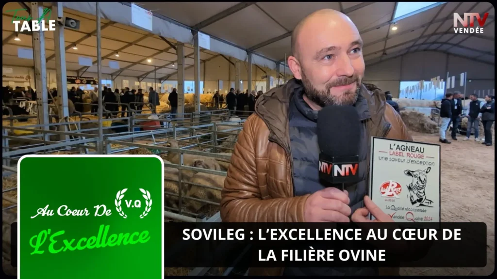 ntv-media-nantes-paris-emission-ntv-vendée.webp