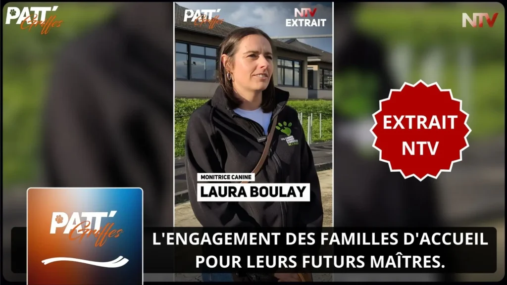ntv-media-nantes-paris-emission-patt-griffes-ntv.webp