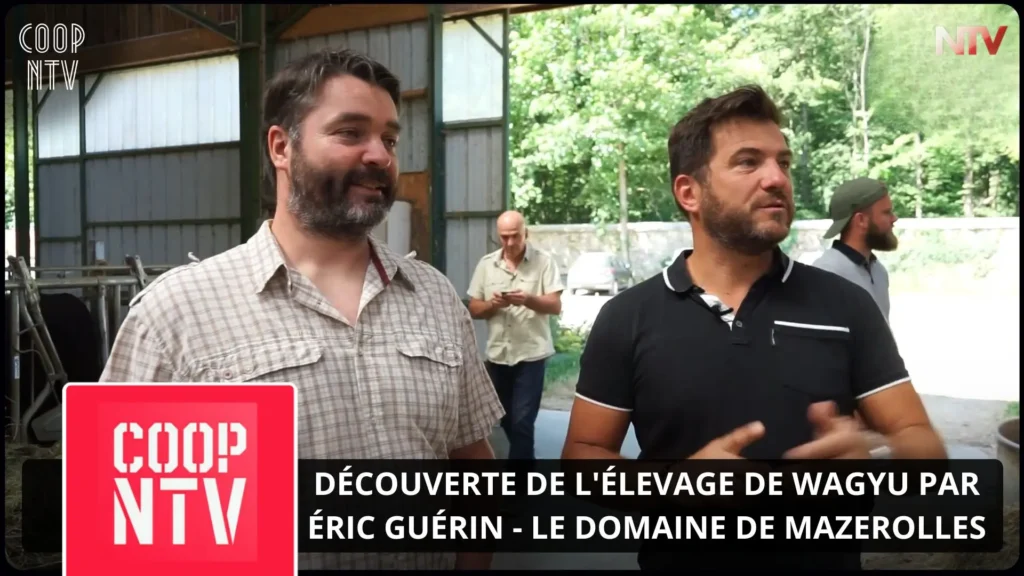 ntv-media-nantes-paris-emission-coop-ntv-ntv.webp