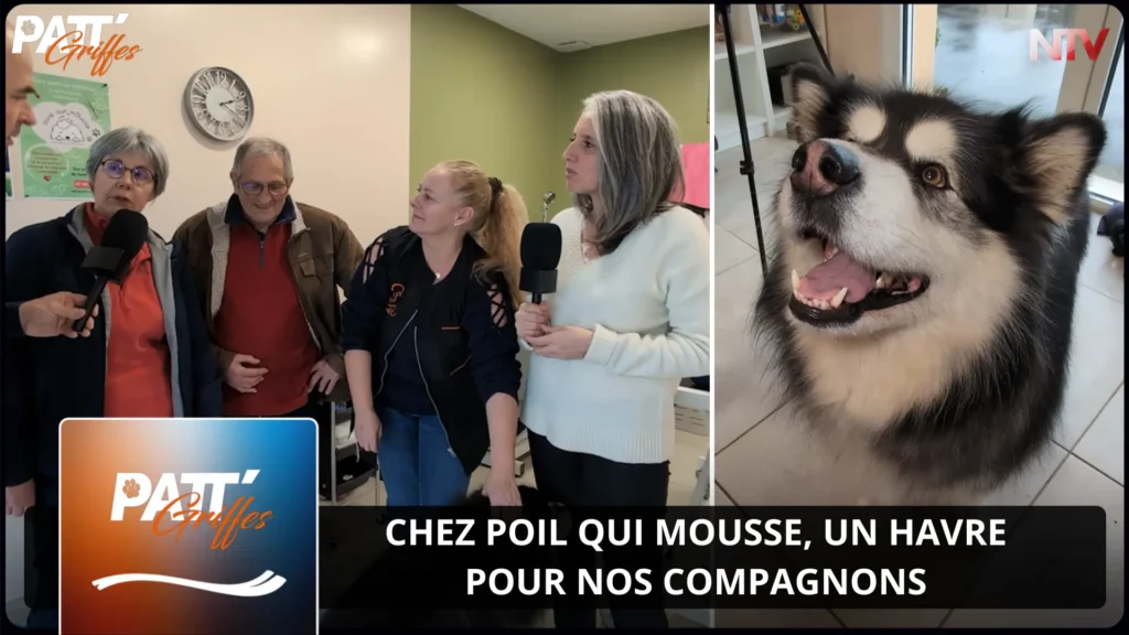 ntv-media-nantes-paris-emission-patt-griffes-ntv.webp