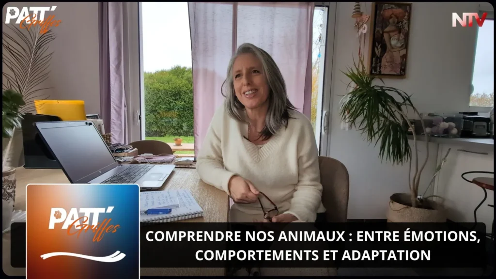 ntv-media-nantes-paris-emission-patt-griffes-ntv.webp