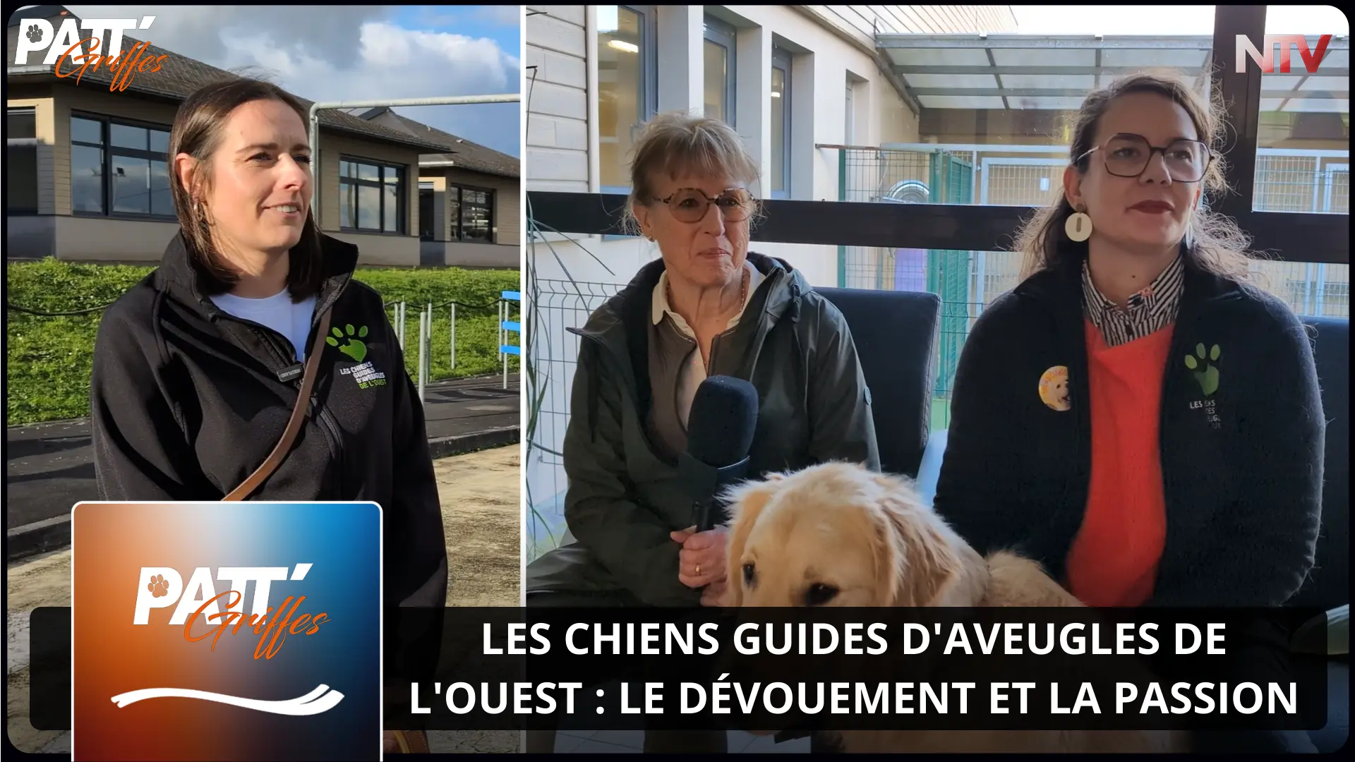 ntv-media-nantes-paris-emission-patt-griffes-ntv.webp