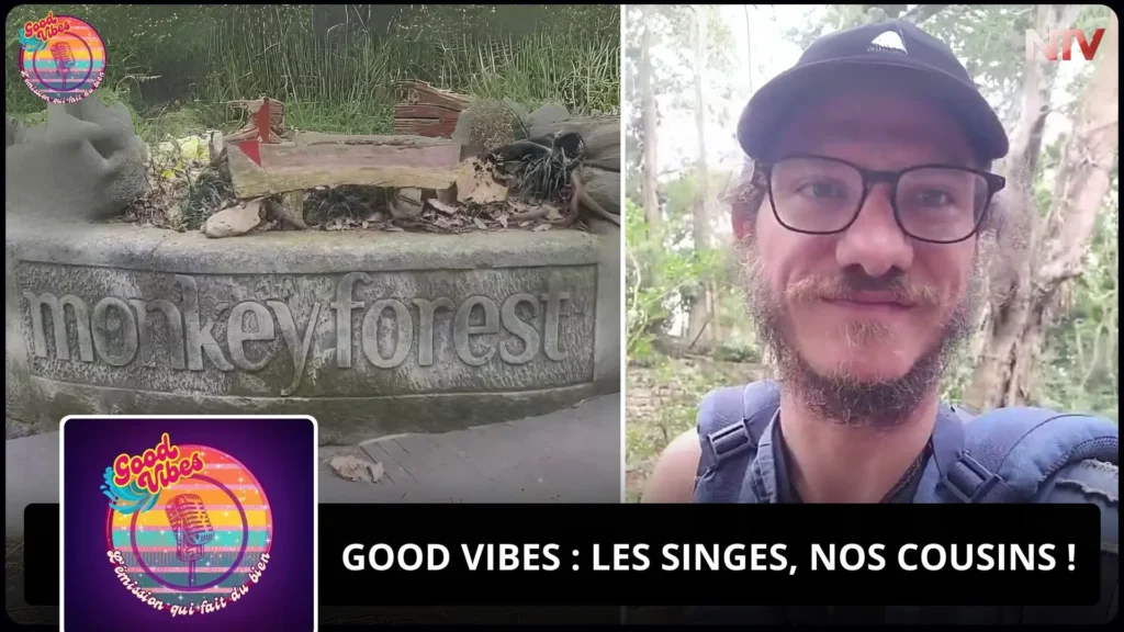 ntv-media-nantes-paris-emission-good-vibes-ntv.webp