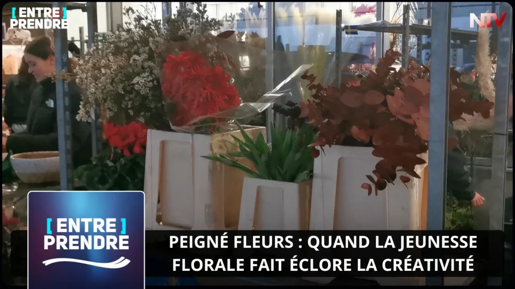 ntv-media-nantes-paris-emission-entreprendre-ntv-ntv.webp