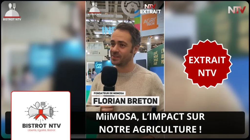 ntv-media-nantes-paris-emission-bistrot-ntv.webp