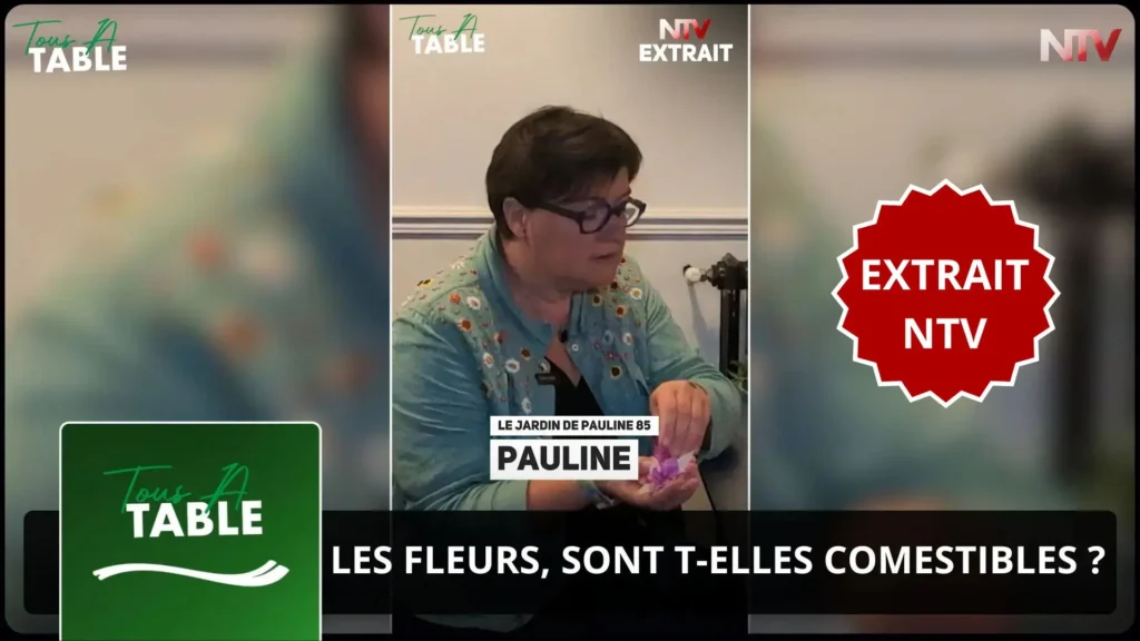 ntv-media-nantes-paris-emission-tous-a-table.webp