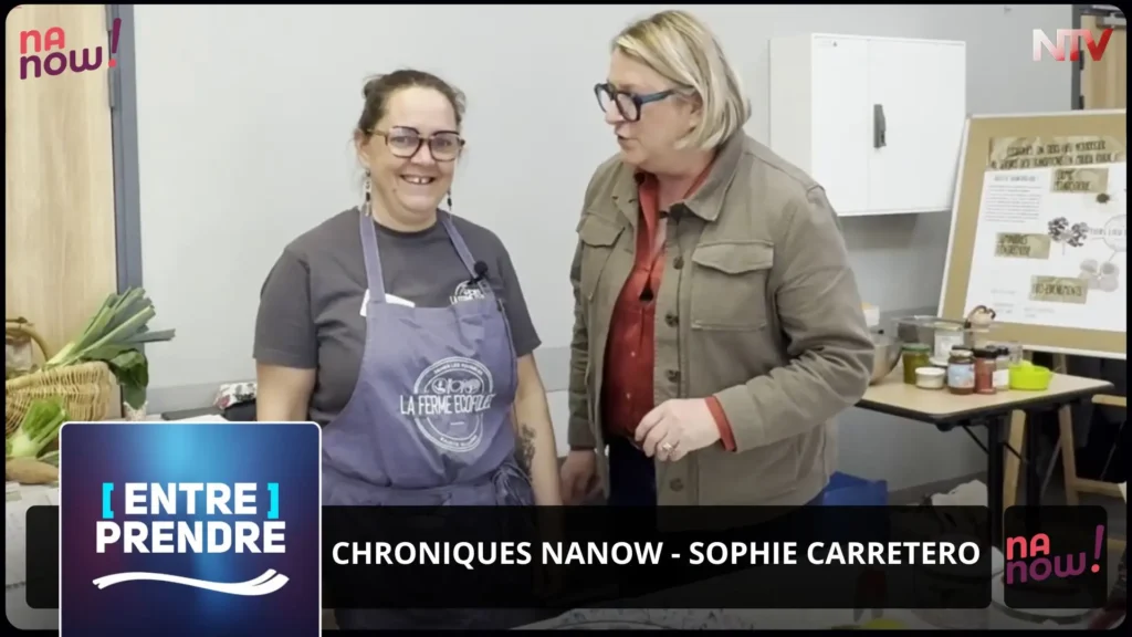 ntv-media-nantes-paris-emission-nanow-ntv.webp