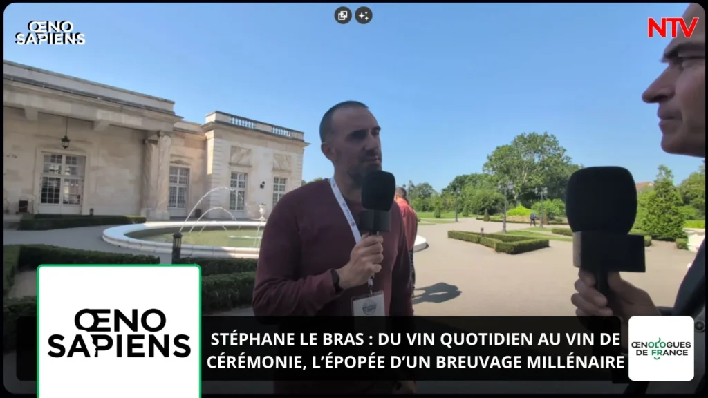 ntv-media-nantes-paris-emission-oenosapiens.webp