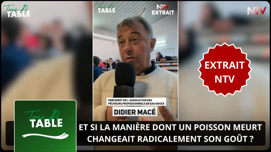 ntv-media-nantes-paris-emission-tous-a-table-ntv.webp
