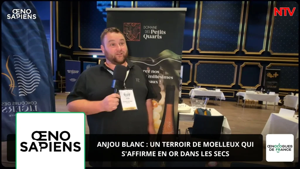 ntv-media-nantes-paris-emission-oenosapiens.webp